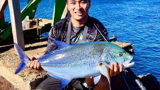 OMILU cliff fishing HAWAII  | 11 pound GIANT sushi?! | Catch, Cook, Create