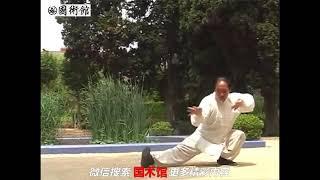 Maestro de Taijiquan demuestra Huleijia Zhuan Dan Gong