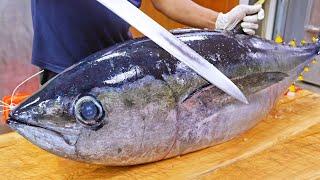 Amazing fish catch! Yellowfin Tuna Cutting Master, Luxurious sashimi