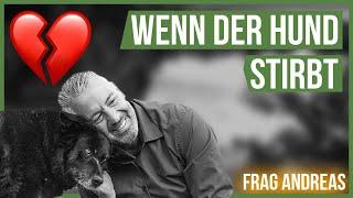 Wenn der Hund stirbt...  Wie sollte man sich verhalten? #FragAndreas