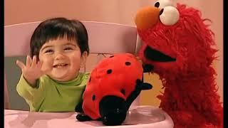 Elmo's World - Bugs (DVD Rip) (For Christopher Grim 3rd Channel)
