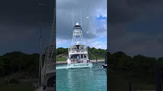 "Sandbob", the 72 Viking Convertible backing in to @walkerscaybahamas with some laundry!