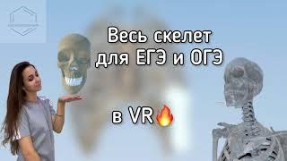 Скелет человека к ЕГЭ и ОГЭ 2025 в VR | НЕонлайн школа Purto | #биология #егэ #химия