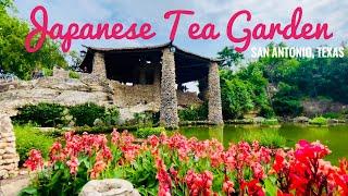 Exploring Japanese Tea Garden - San Antonio, Texas