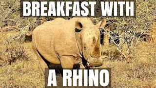 BREAKFAST WITH A RHINO. Amazing Hlane National Park, Eswatini.