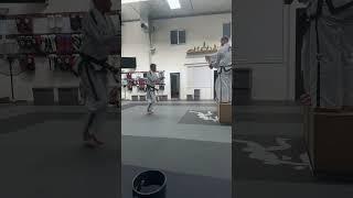 Head height twin foot front snap kick - Carl van Roon 5th degree testing