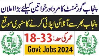 Punjab Government Jobs 2024 Online Apply | Punjab Govt Jobs 2024 | Latest Jobs In Punjab 2024