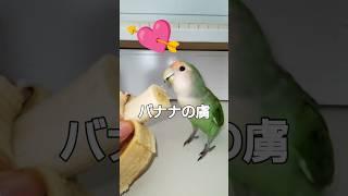 2025年5月16日
