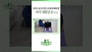 허리 수술 후 재활운동 초급 #shorts  #강남나누리병원 #재활운동