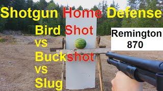 BIRD SHOT IS BEST Home Defense MUST WATCH!!