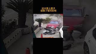 这大哥上辈子拯救了银河系吧