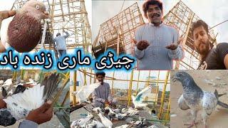 چڑی ماڑی فل ٹائم سب پھڑے جان " Nasir pigeon club