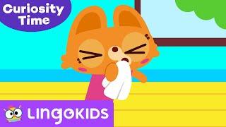 ACHOO! WHAT IS A SNEEZE?  | Curiosity Coach by Lingokids