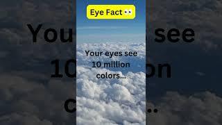 Eye Facts You Won't Believe Are Actually Real