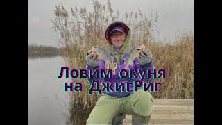 Ловля капризного окуня в ноябре