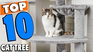 Top 10 Best Cat Trees Review In 2024