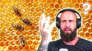 Christian reacts to Honeybees (MIRACLE of the QURAN)