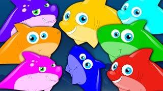 Learn Colors | Shark Colors Song | Learning Videos For Children | Cartoons For Babies by Kids Tv