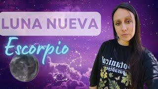 Luna nueva en Escorpio 1 de Noviembre 2024 | Astrología | Amalur Sanación