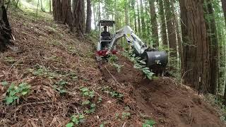 Cutting Hillside Trail Section 6 Takeuchi TB216 Excavator