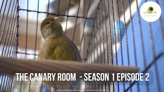 The Canary Room Season 1 - EPISODE 2