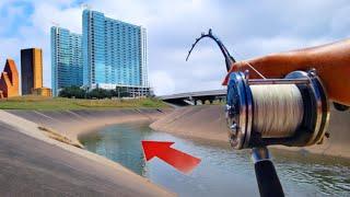 Houston's Best and Most Dangerous Fishing Spot... Right Under Your Nose