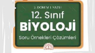 12Biyoloji 2 dönem 1 yazılıya hazırlık soru çözümleri MEB Maarif modele göre