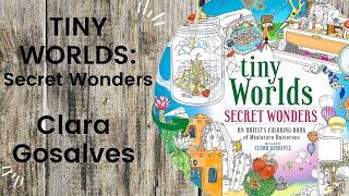 Tiny Worlds: Secret Wonders - Clara Gosalves  //Adult Colouring Book FlipThrough