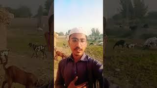 All Thanks Is To Allah The Almighty God  #islam #recitation #quran #reels #tiktok #shorts