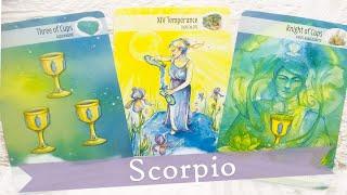 Scorpio They get you!  Let them in so you can see for yourself.