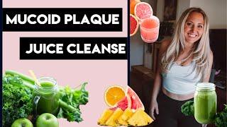 Mucoid Plaque Juice Cleanse At Home | No Kits | Juice Fast