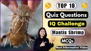 10 General Knowledge Quiz Questions On The Mysterious Mantis Shrimp | Helian GK Quiz