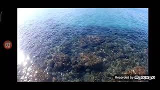 pesca a bolognese a torre delle stelle