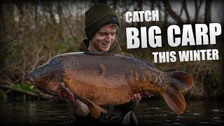 CATCH MORE CARP THIS WINTER! (Improve your fishing with these top tips)