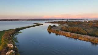 The Bay Delta Campaign: a Conservation Imperative