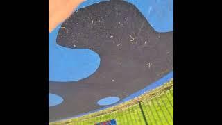 360 degree angle
