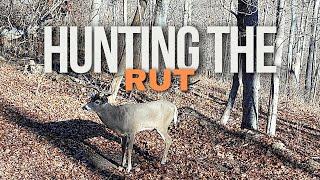 How To Hunt The Rut