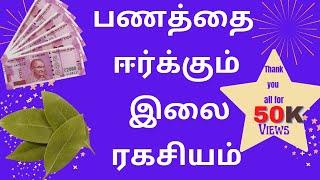 bay leaf ritual for money in Tamil  | பிரியாணி இலை தாந்திரீக பரிகாரம் | Attract Money With bay leaf