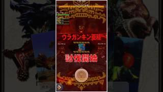 【MHXR】ウラガンキン亜種凶暴個体【4GamerSP】