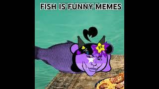 I have my funny memes like fish ️@SBA2_asma You like 