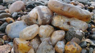 Rockhounding In The Rain | Rocks For Days On The Yellowstone River!