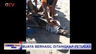 Warga Temukan Buaya Besar di Pantai Legian, Bali #BuletiniNewsPagi 05/01