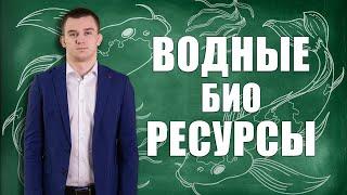 Правовое регулирование охраны и использования водных био-ресурсов