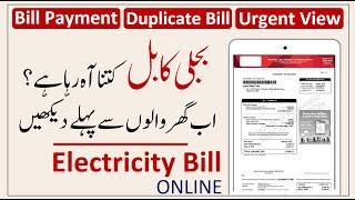 Electricity Duplicate Bill Print Online I Bill Payment By Helan MTM Box