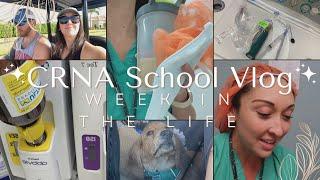 Week in the Life of a Nurse Anesthetist Student