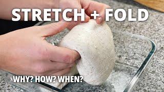 How And When To Stretch And Fold Your Sourdough