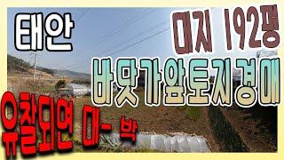 [부동산추천] 충남 태안 대지 경매 5천 3백만 원! / 음성권리분석有 자막+볼륨UP