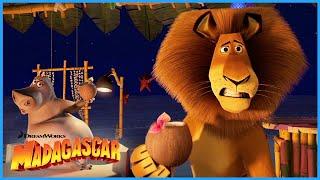 You call that Food!? | DreamWorks Madagascar