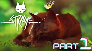 I AM CAT | Stray Part 1
