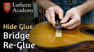 Bridge Re-Glue with Hide Glue - Lutherie Academy